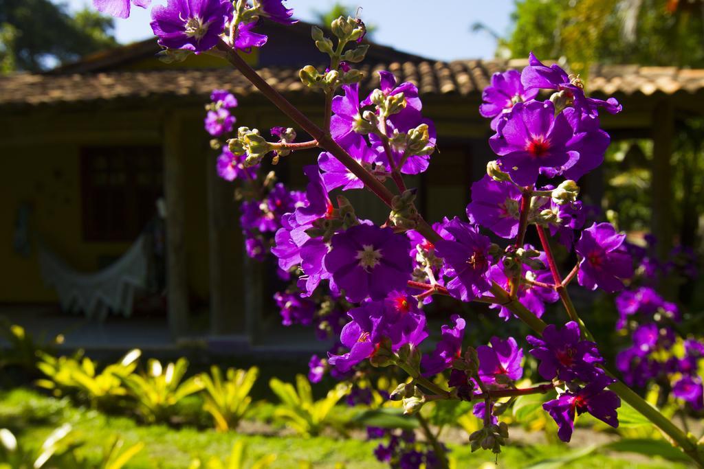 Pousada Casinhas Da Bahia Карайва Экстерьер фото